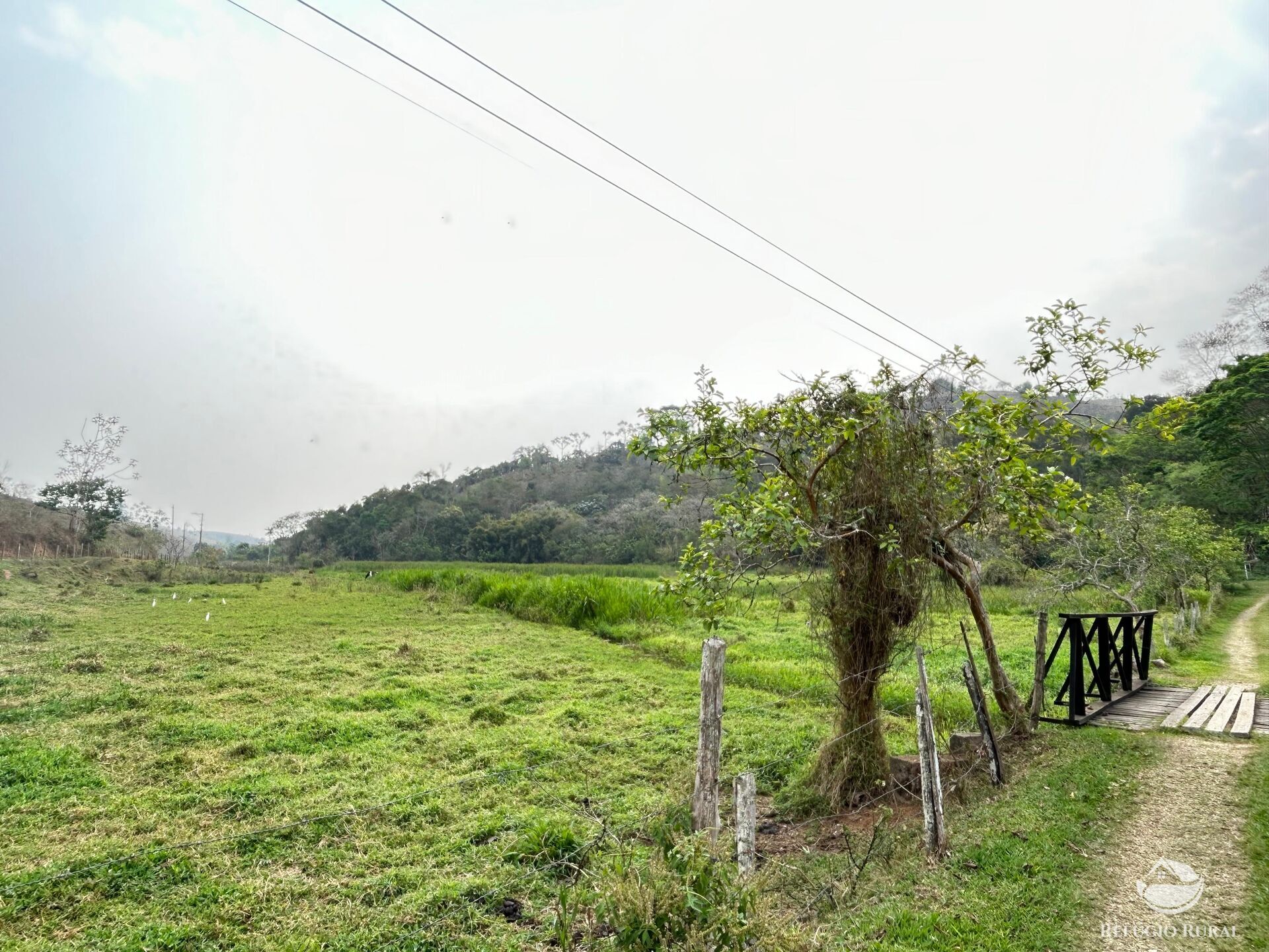 Fazenda à venda com 8 quartos, 438000m² - Foto 43