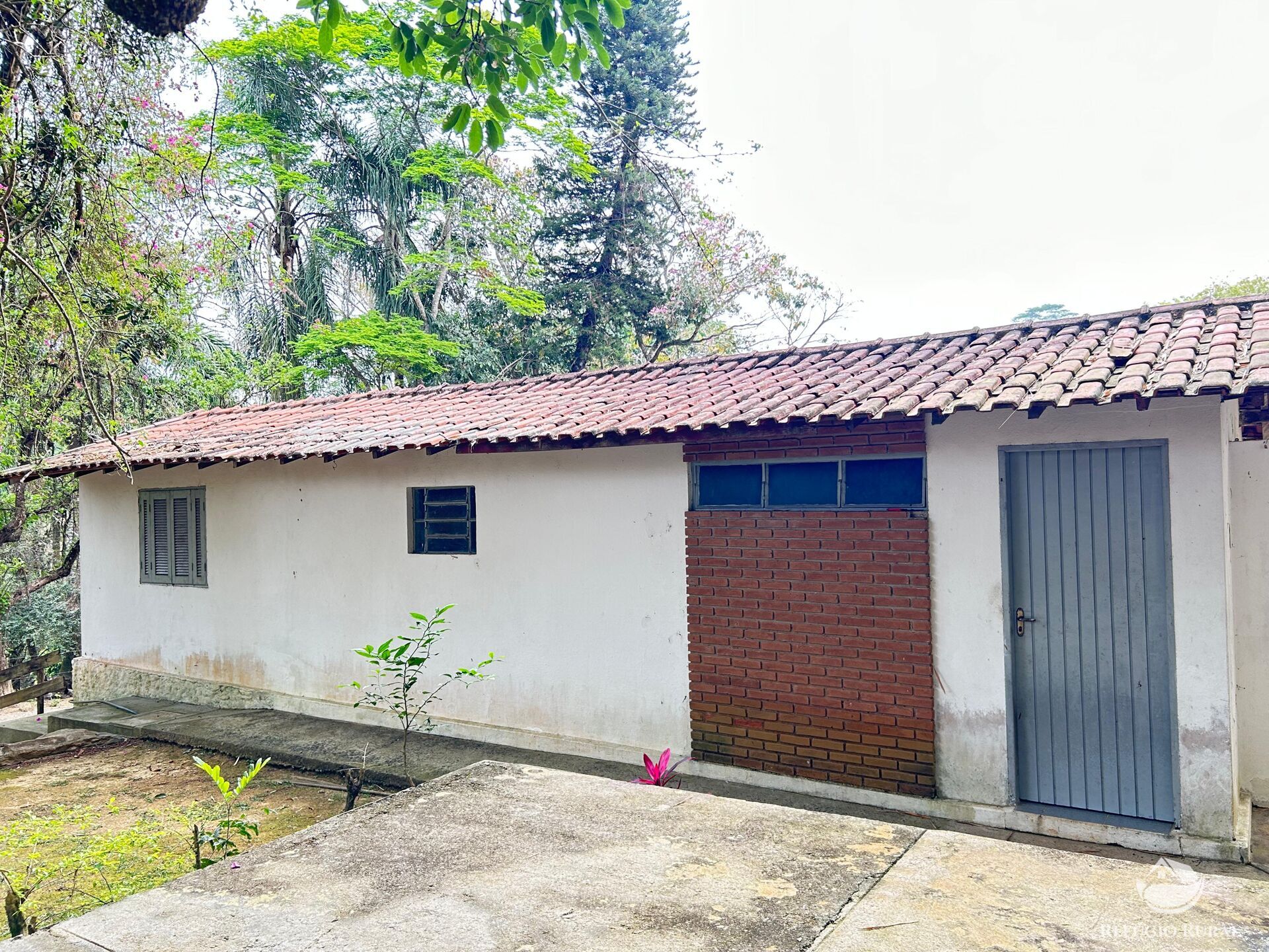 Fazenda à venda com 8 quartos, 438000m² - Foto 15