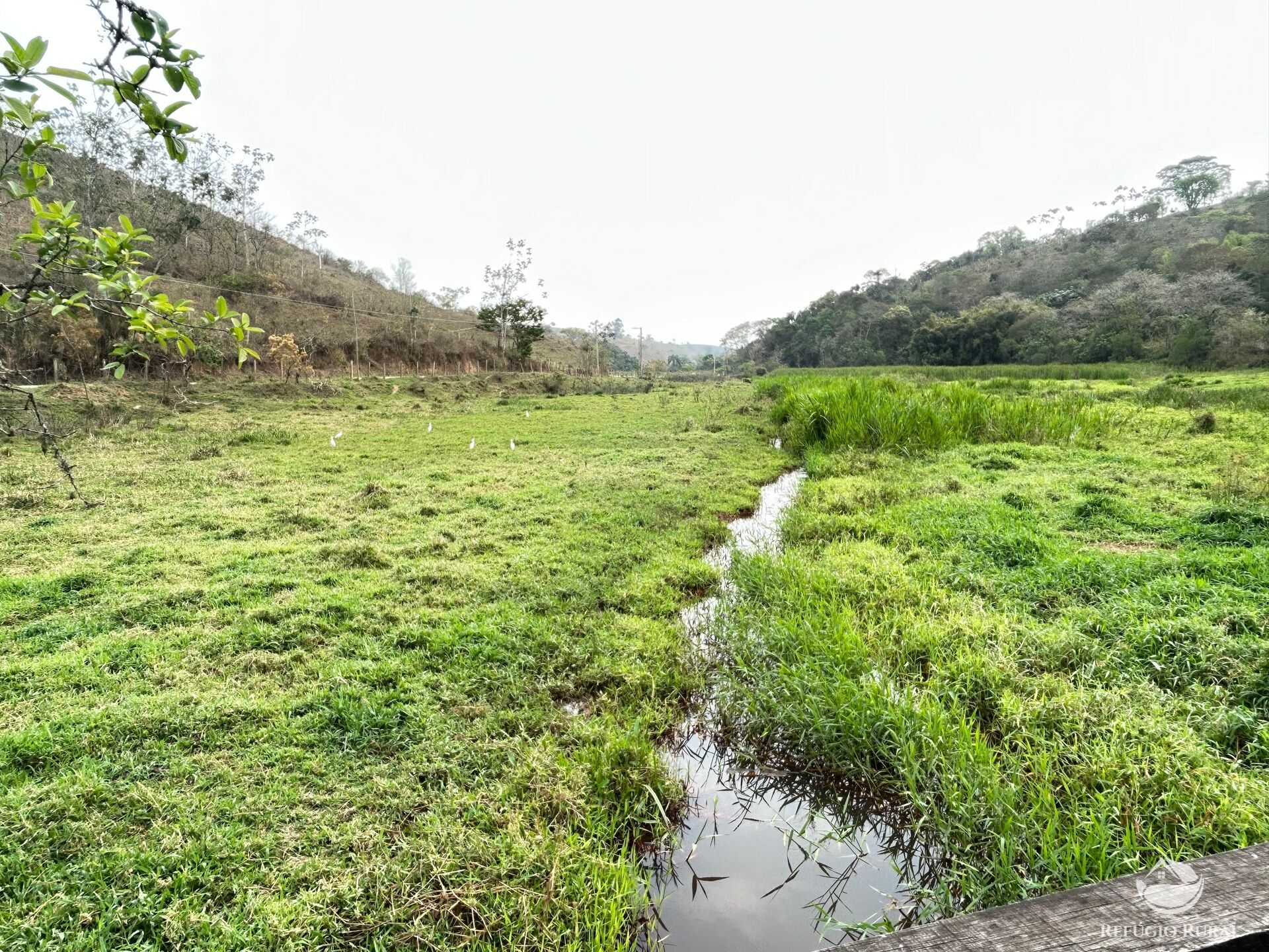 Fazenda à venda com 8 quartos, 438000m² - Foto 41