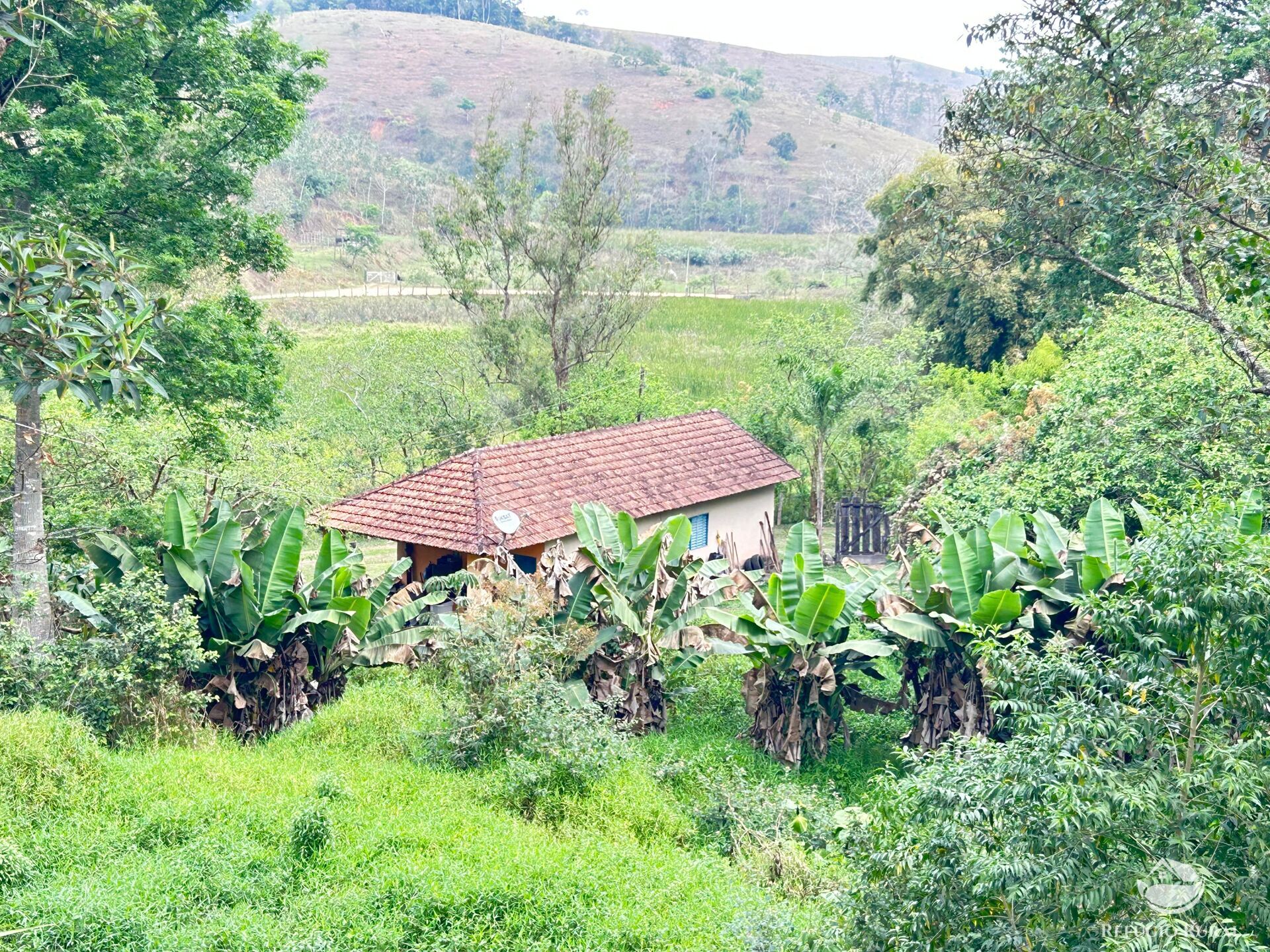 Fazenda à venda com 8 quartos, 438000m² - Foto 48