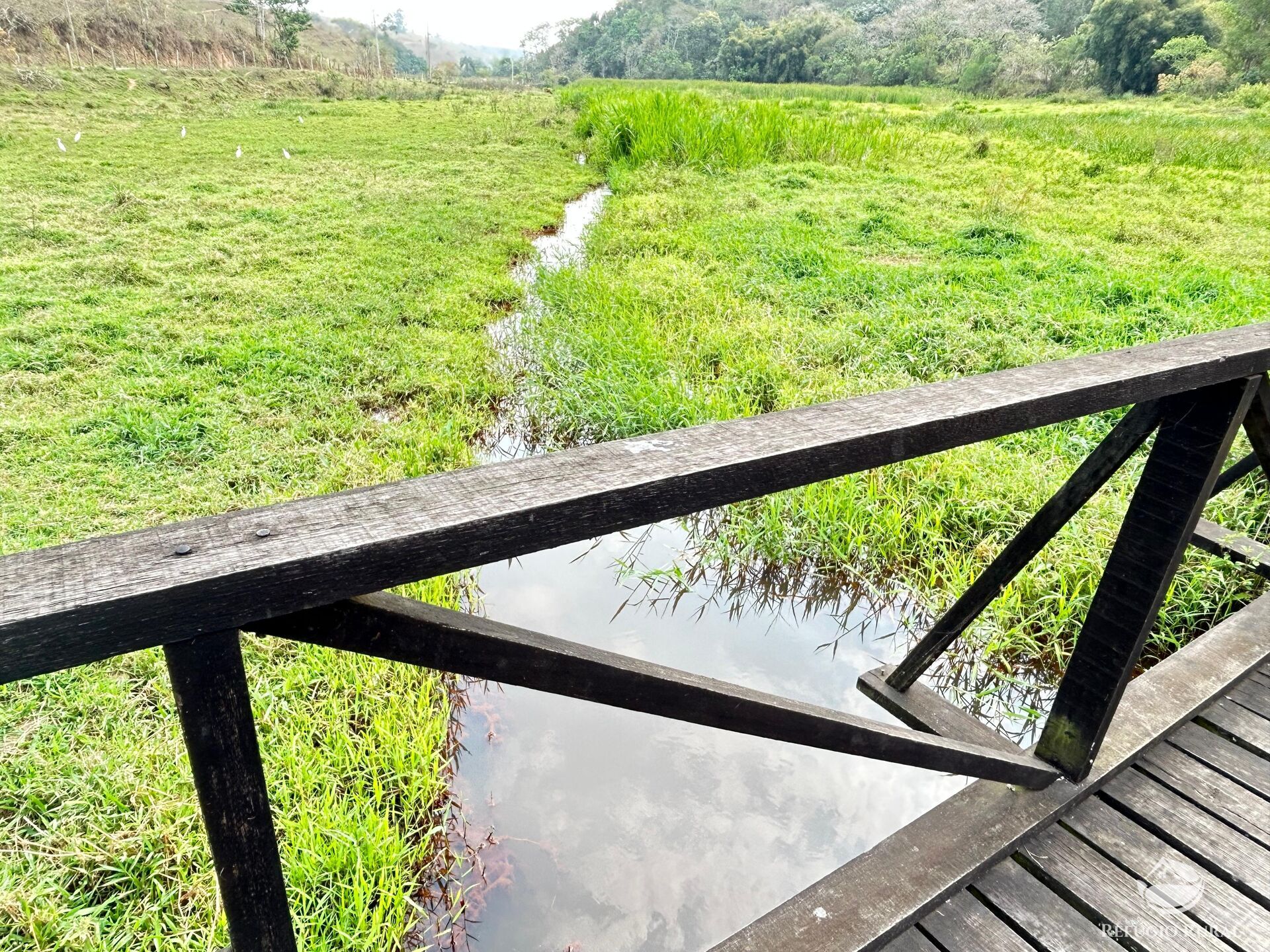 Fazenda à venda com 8 quartos, 438000m² - Foto 39