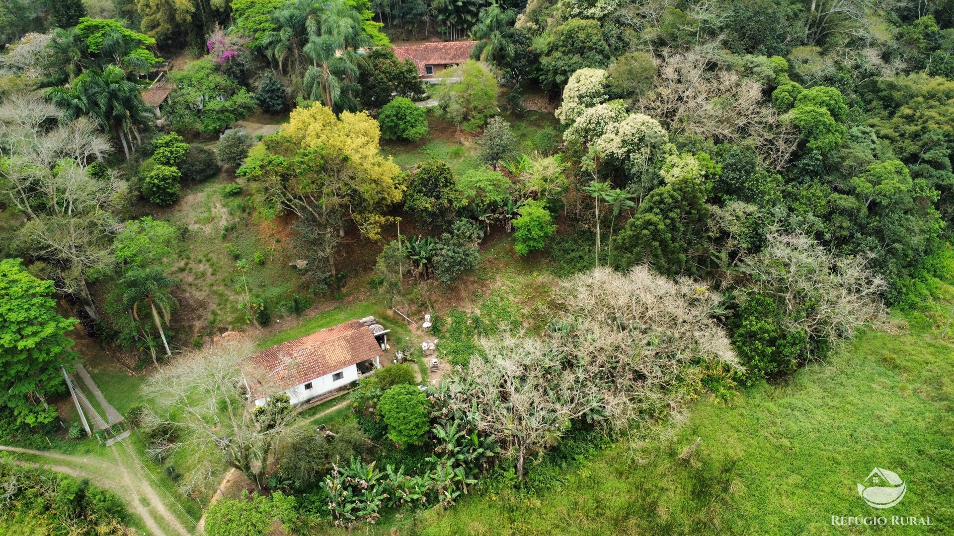 Fazenda à venda com 8 quartos, 438000m² - Foto 21