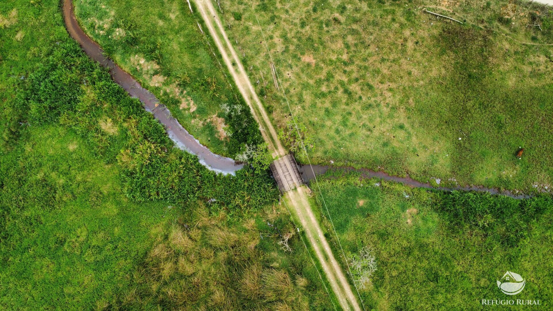 Fazenda à venda com 8 quartos, 438000m² - Foto 25