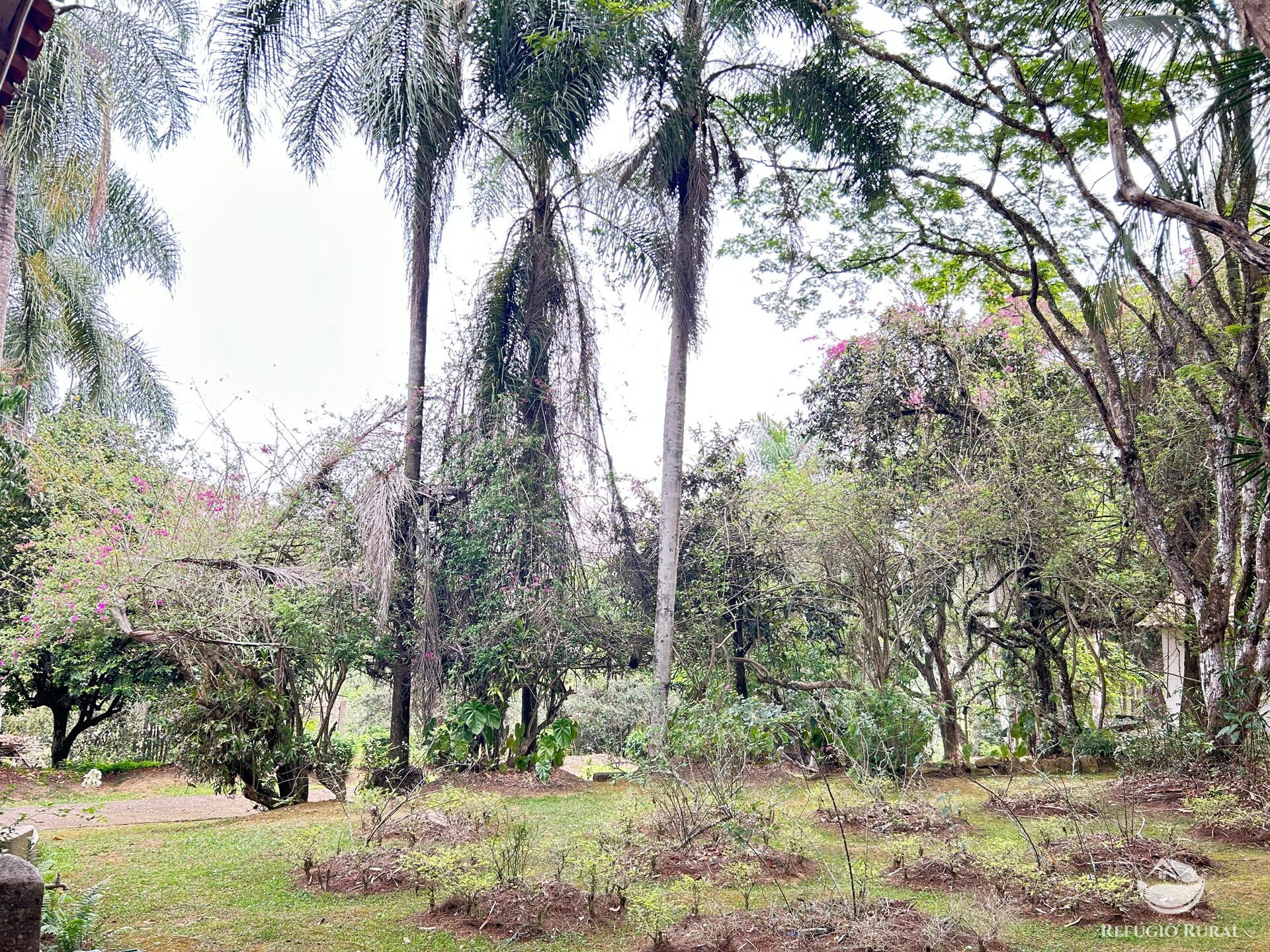 Fazenda à venda com 8 quartos, 438000m² - Foto 22