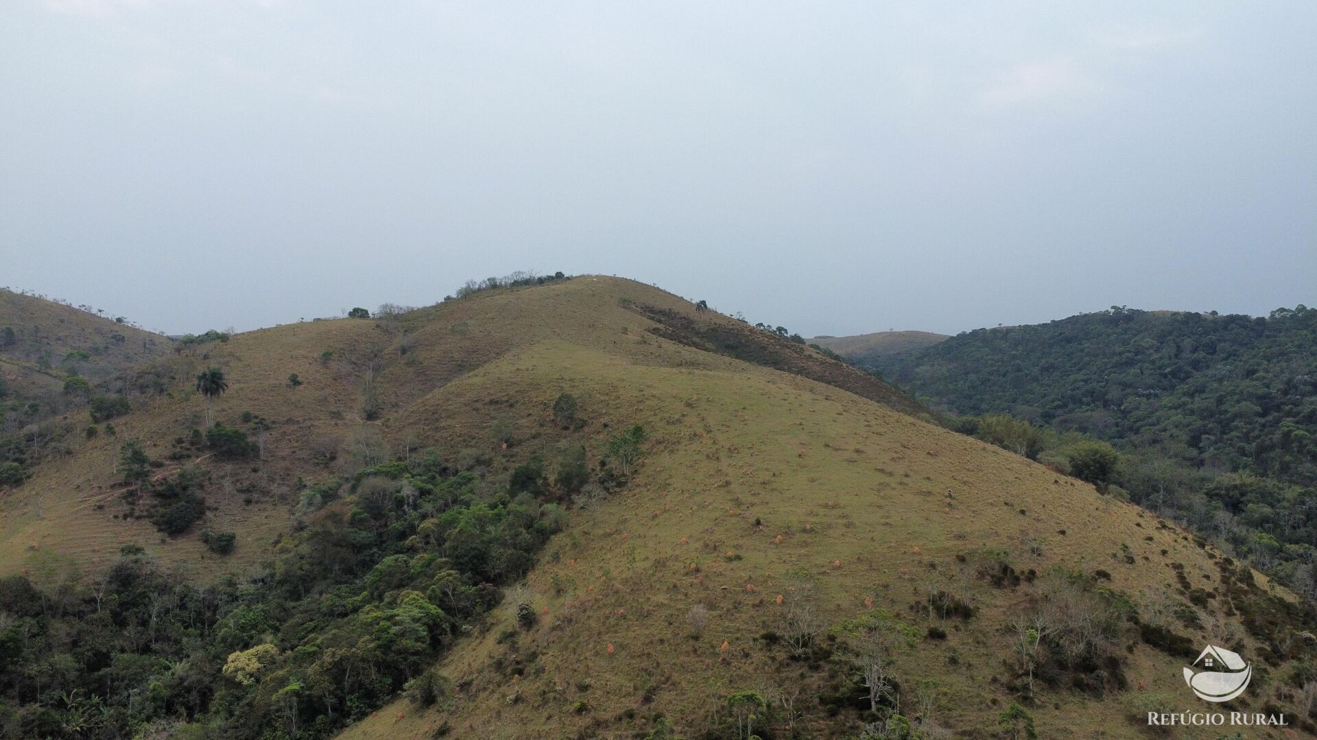 Fazenda à venda com 8 quartos, 438000m² - Foto 37