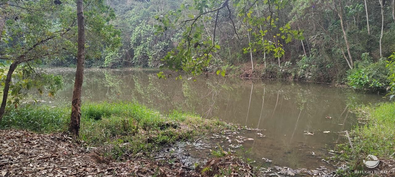 Fazenda à venda com 8 quartos, 438000m² - Foto 38