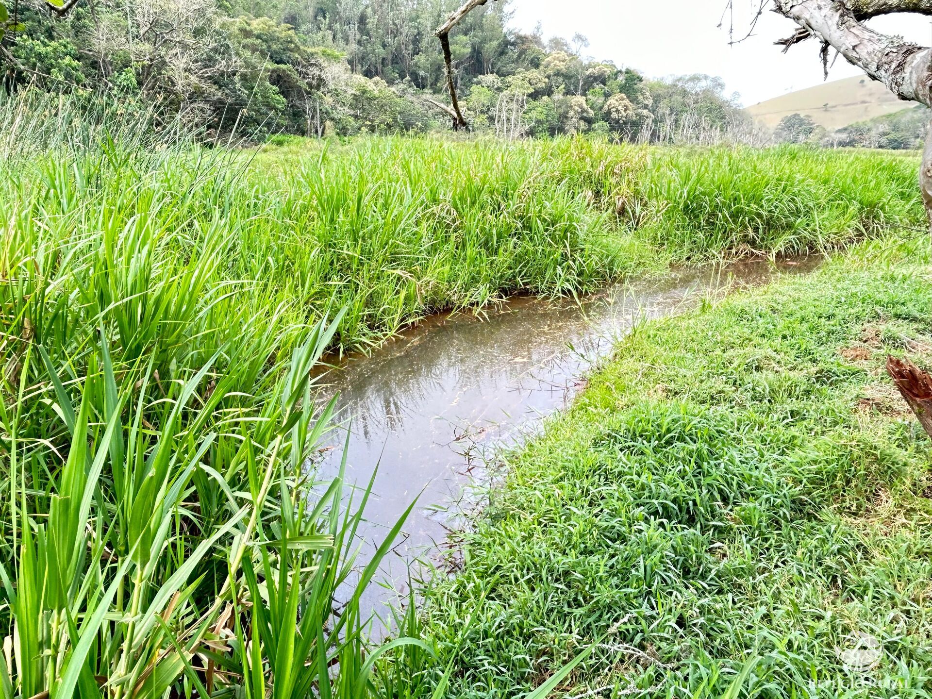 Fazenda à venda com 8 quartos, 438000m² - Foto 8