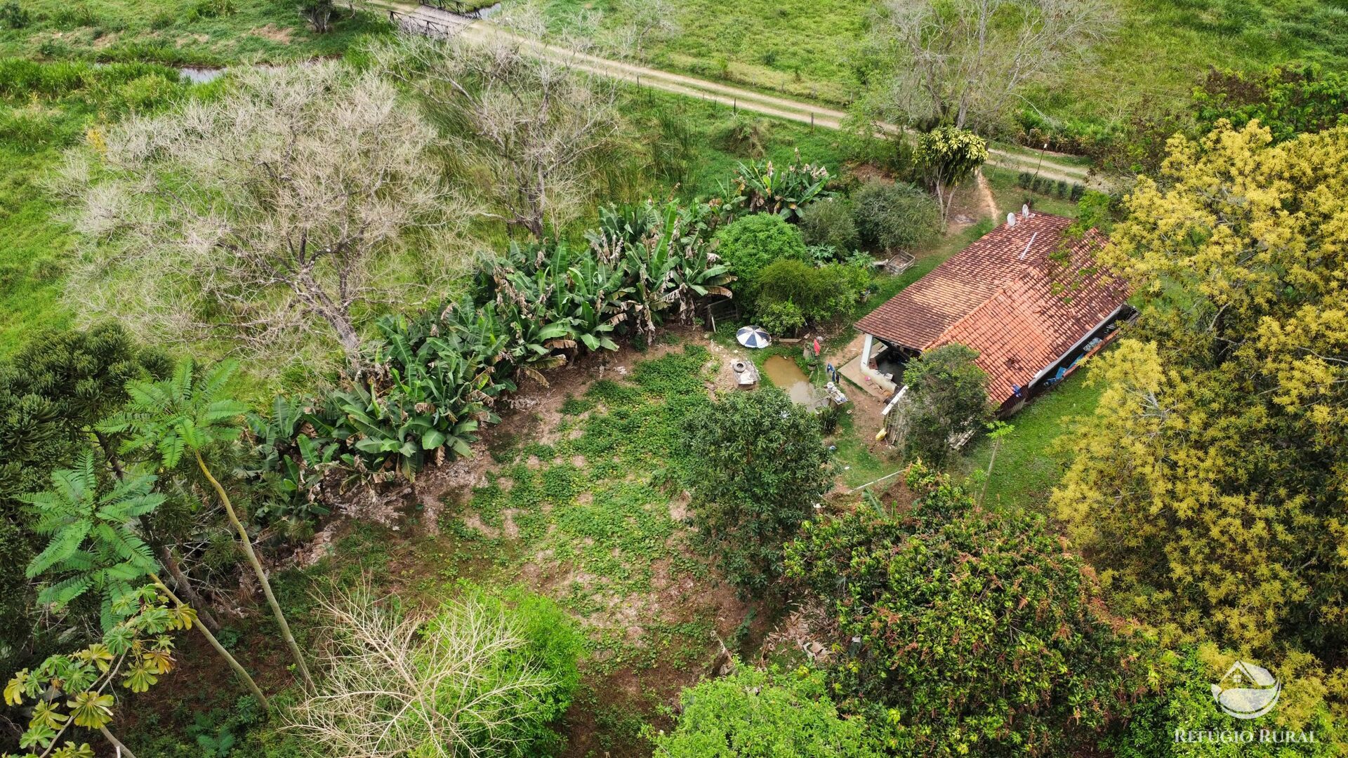 Fazenda à venda com 8 quartos, 438000m² - Foto 9