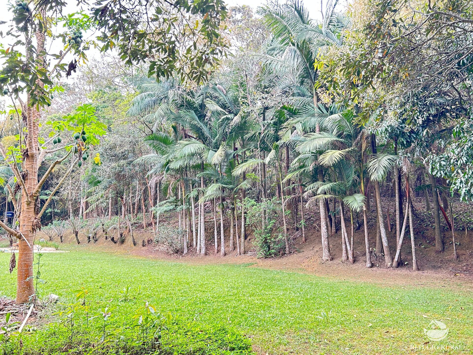 Fazenda à venda com 8 quartos, 438000m² - Foto 11