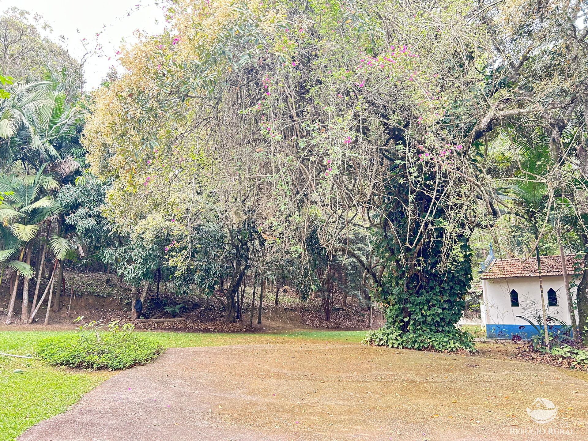 Fazenda à venda com 8 quartos, 438000m² - Foto 5