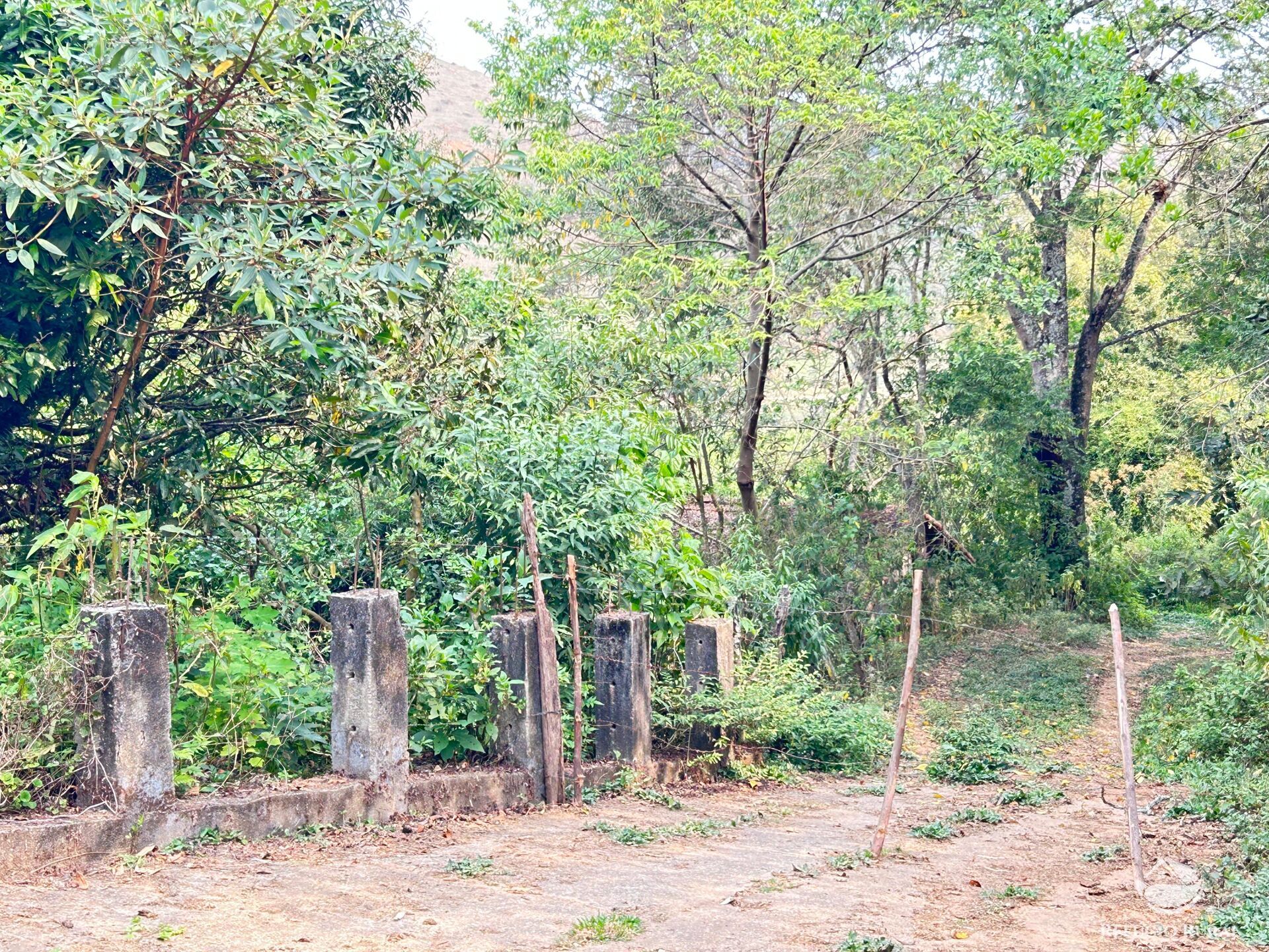 Fazenda à venda com 8 quartos, 438000m² - Foto 47