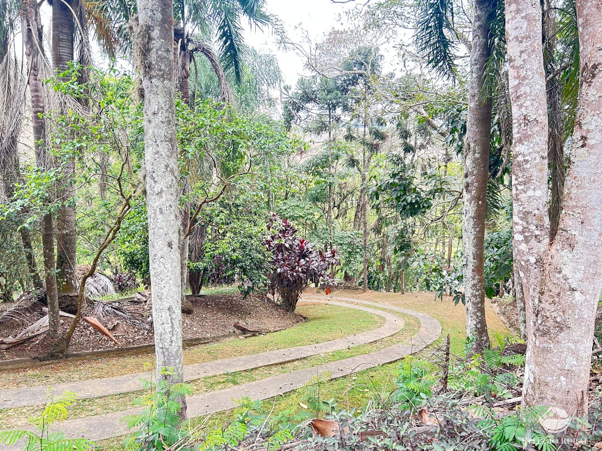 Fazenda à venda com 8 quartos, 438000m² - Foto 35