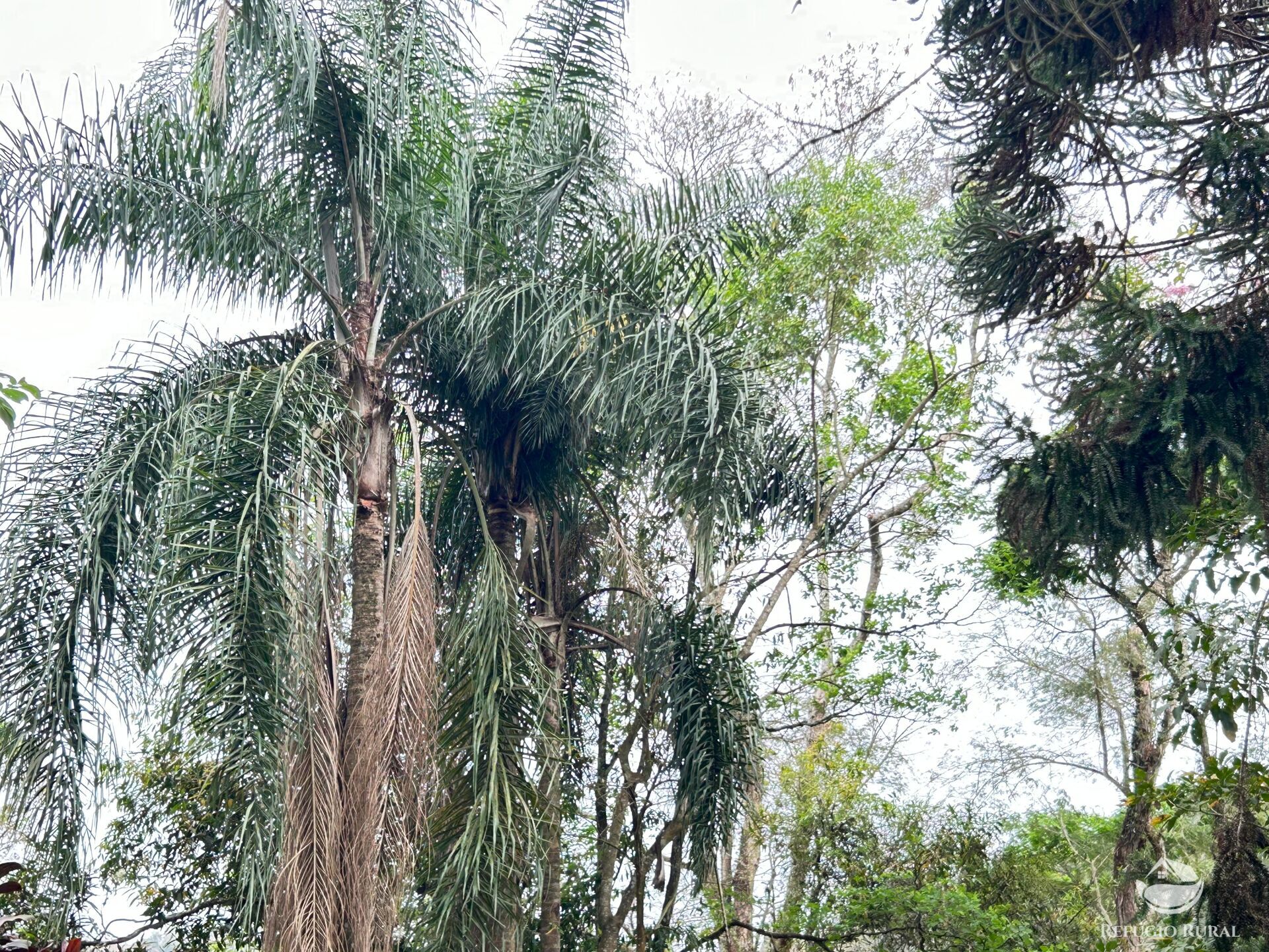 Fazenda à venda com 8 quartos, 438000m² - Foto 46