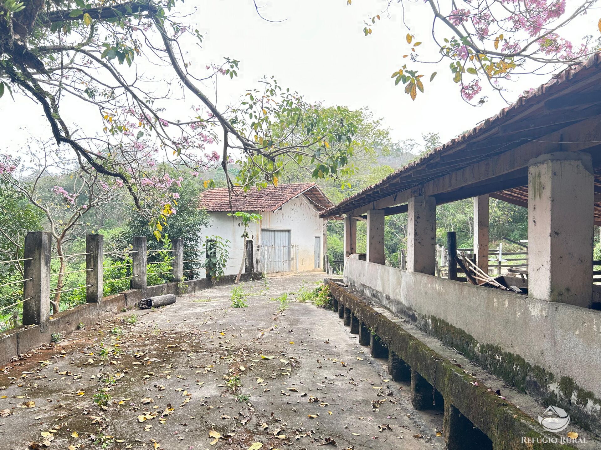 Fazenda à venda com 8 quartos, 438000m² - Foto 29