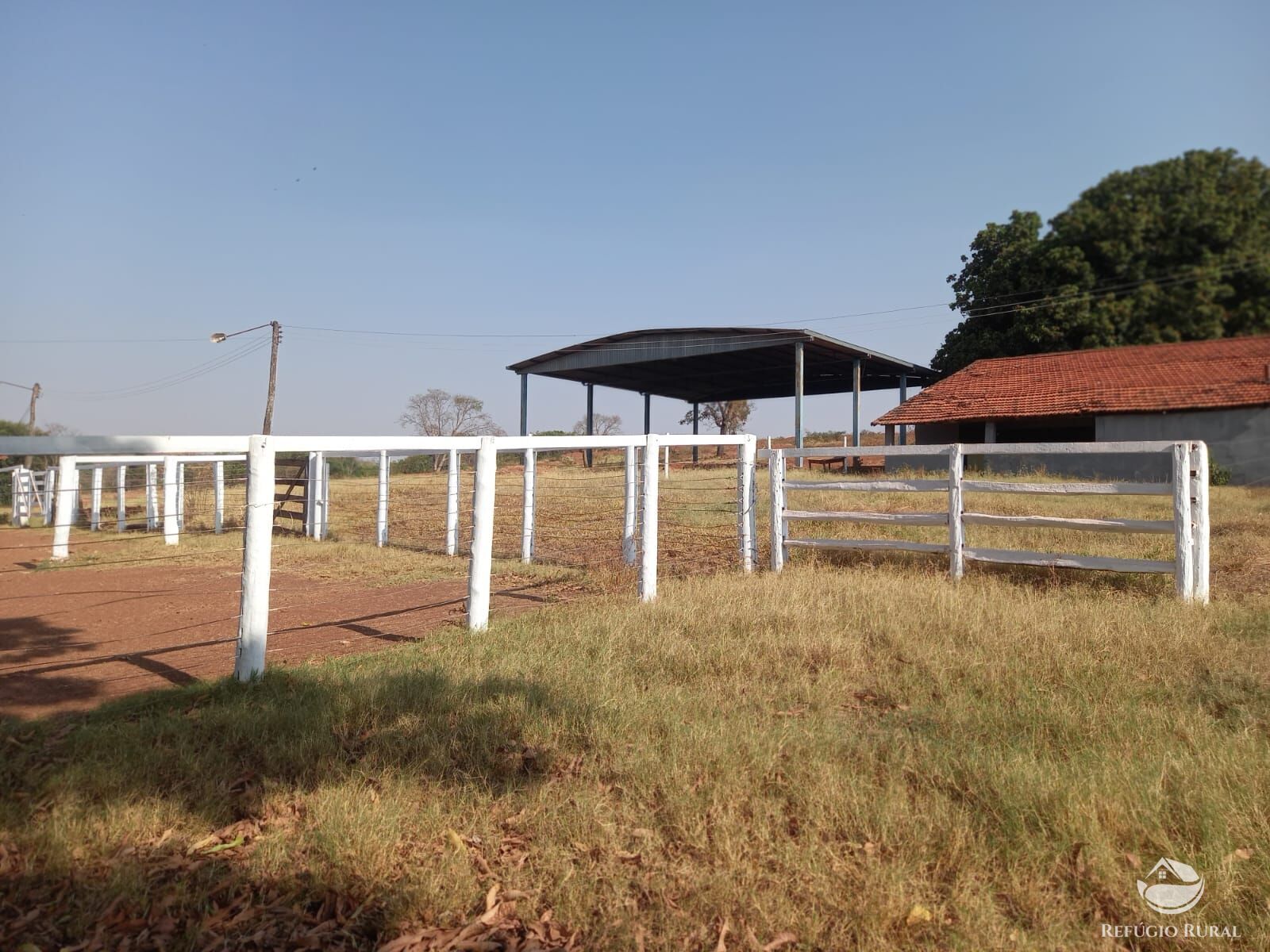 Fazenda à venda com 1 quarto, 1790000m² - Foto 3