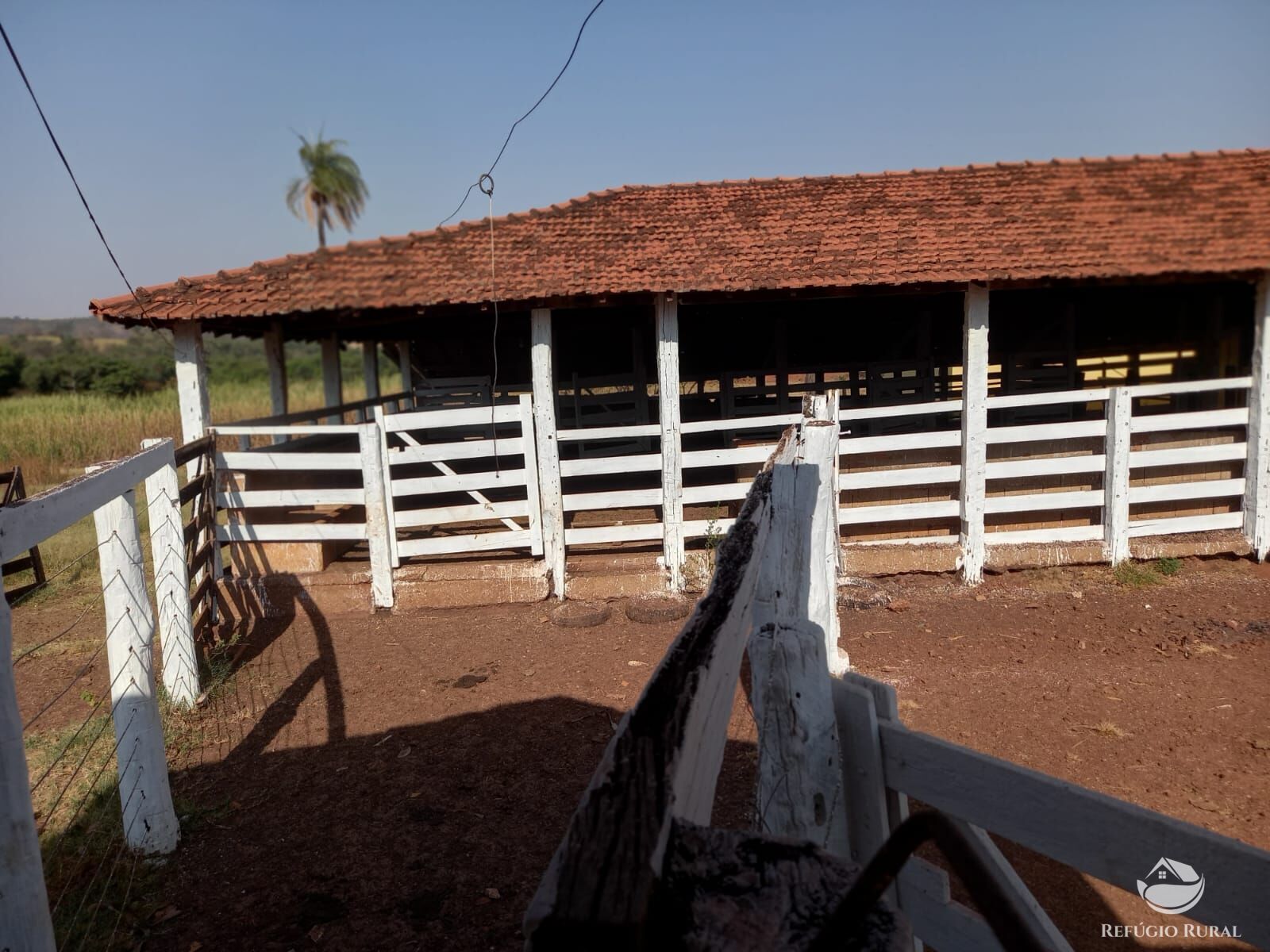 Fazenda à venda com 1 quarto, 1790000m² - Foto 13