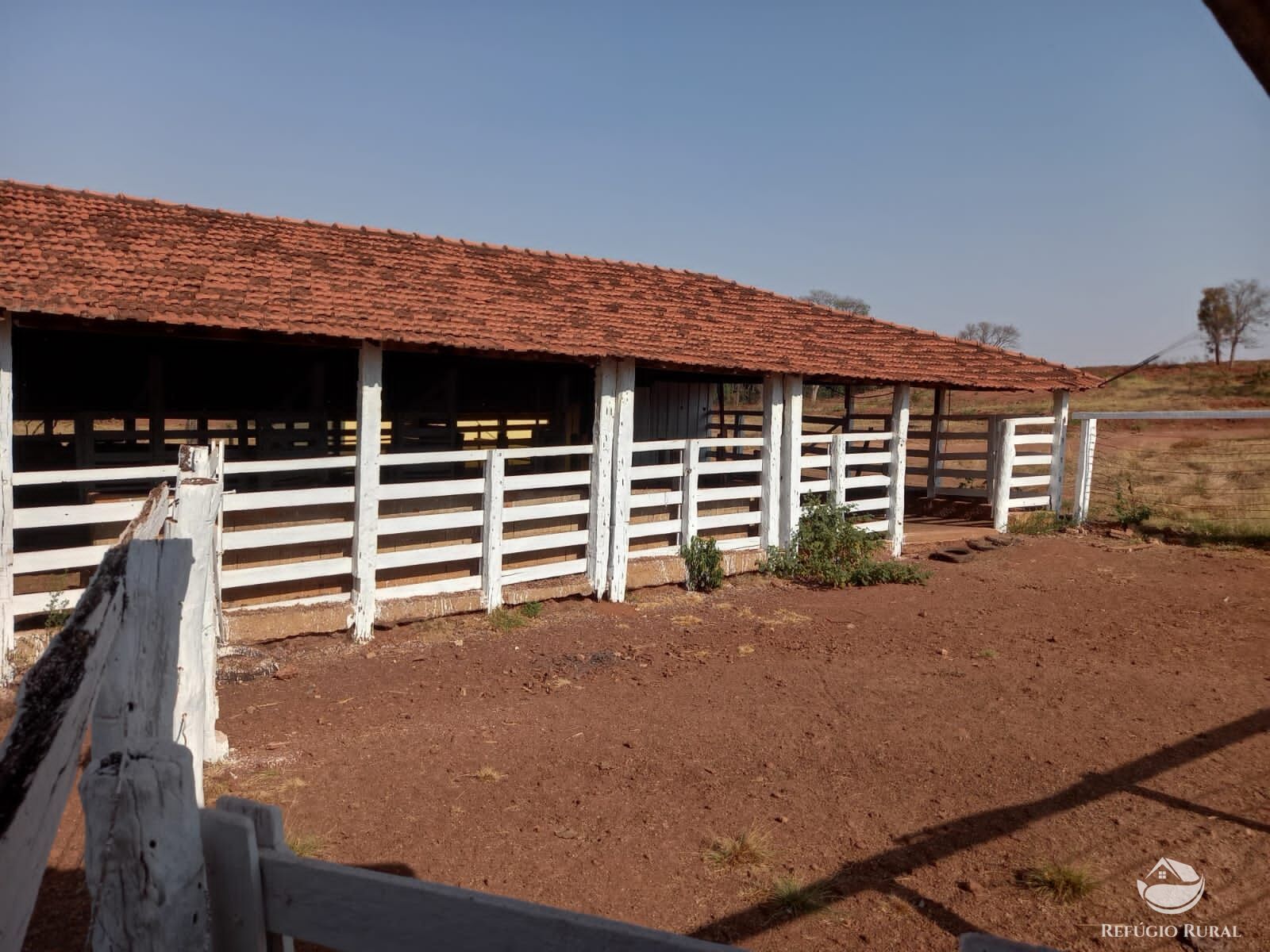 Fazenda à venda com 1 quarto, 1790000m² - Foto 4