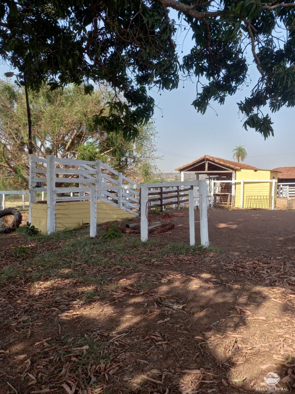 Fazenda à venda com 1 quarto, 1790000m² - Foto 5