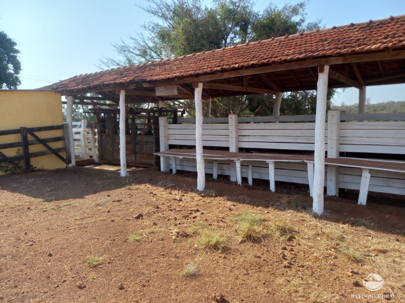 Fazenda à venda com 1 quarto, 1790000m² - Foto 8