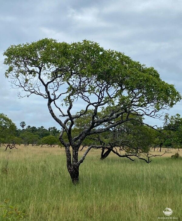 Fazenda à venda com 1 quarto, 2350000m² - Foto 18