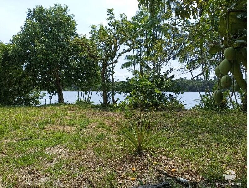 Fazenda à venda com 1 quarto, 2350000m² - Foto 7