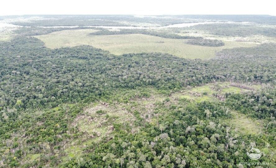 Fazenda à venda com 1 quarto, 2350000m² - Foto 26