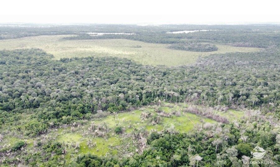 Fazenda à venda com 1 quarto, 2350000m² - Foto 21