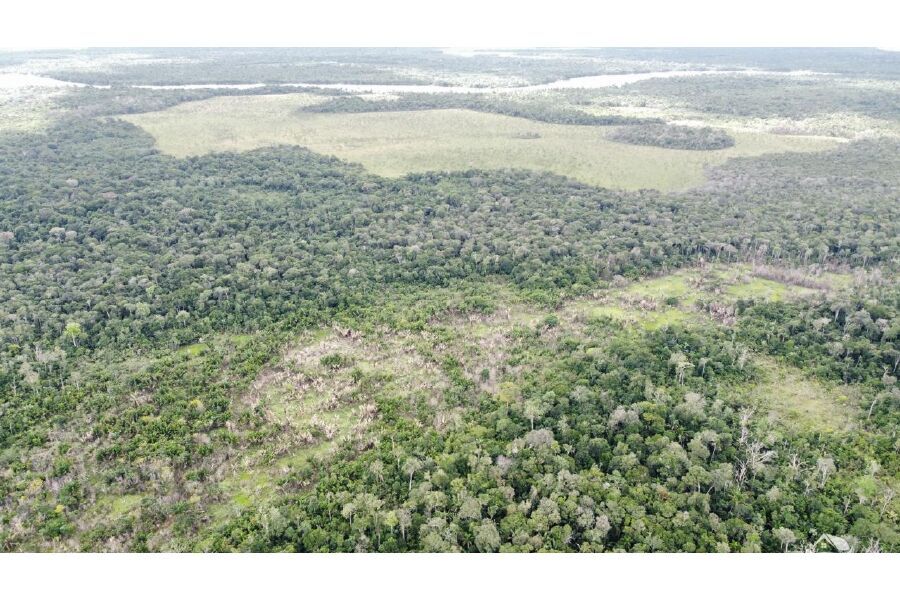 Fazenda à venda com 1 quarto, 2350000m² - Foto 10