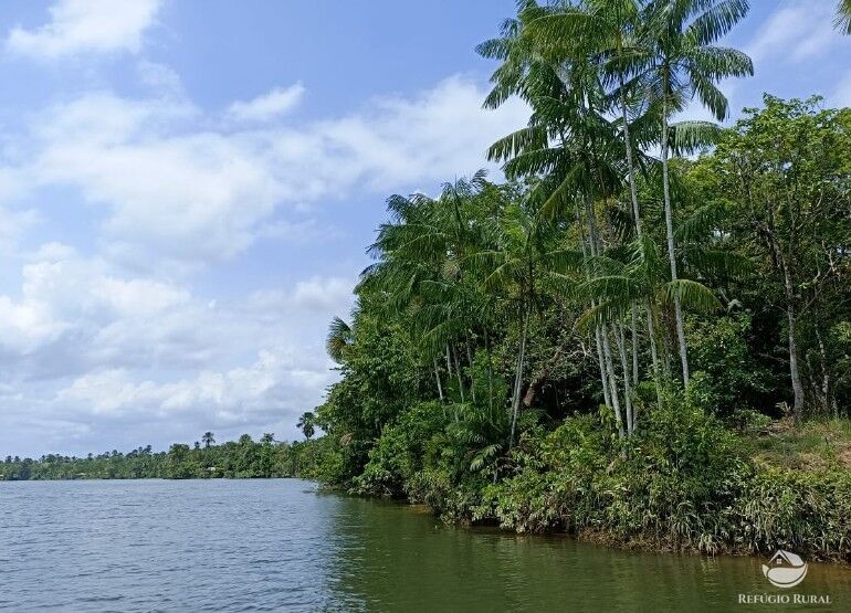 Fazenda à venda com 1 quarto, 2350000m² - Foto 12