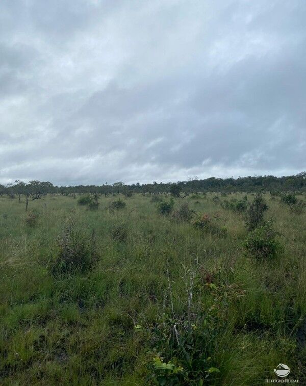 Fazenda à venda com 1 quarto, 2350000m² - Foto 20