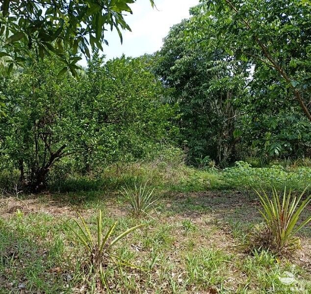 Fazenda à venda com 1 quarto, 2350000m² - Foto 13