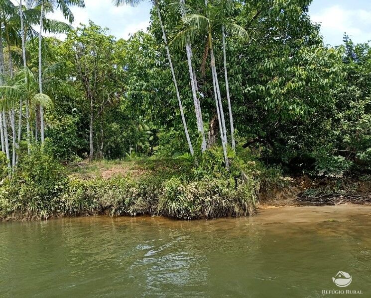 Fazenda à venda com 1 quarto, 2350000m² - Foto 6