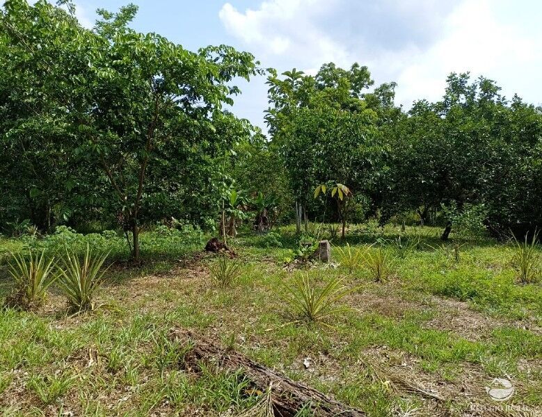 Fazenda à venda com 1 quarto, 2350000m² - Foto 14