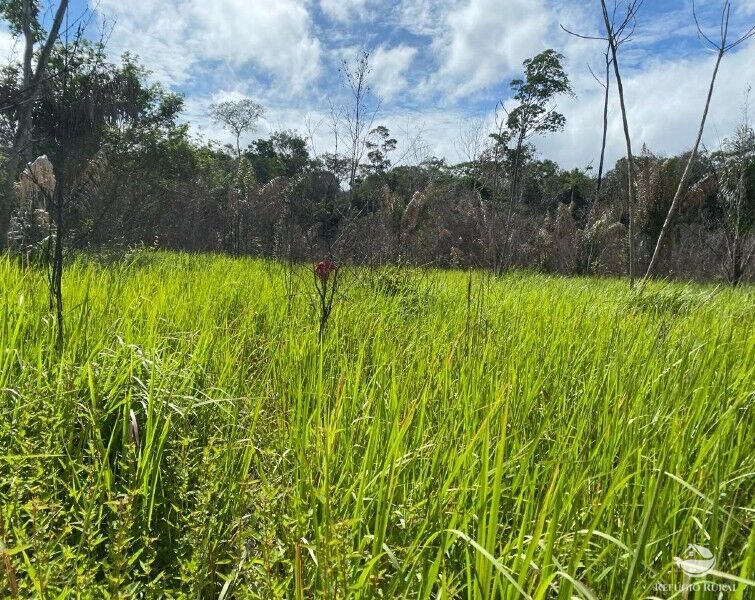 Fazenda à venda com 1 quarto, 2350000m² - Foto 23