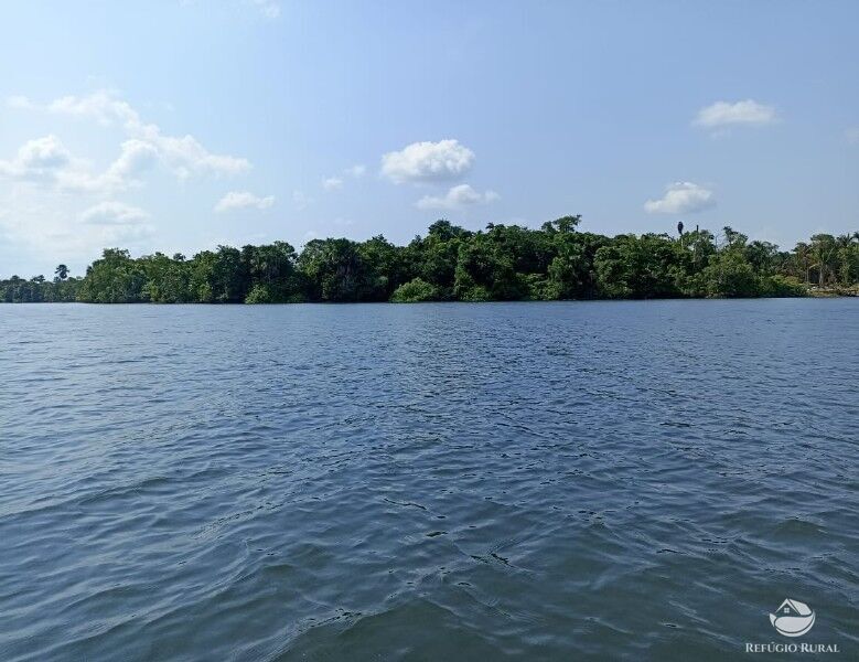 Fazenda à venda com 1 quarto, 2350000m² - Foto 11