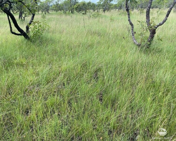 Fazenda à venda com 1 quarto, 2350000m² - Foto 25