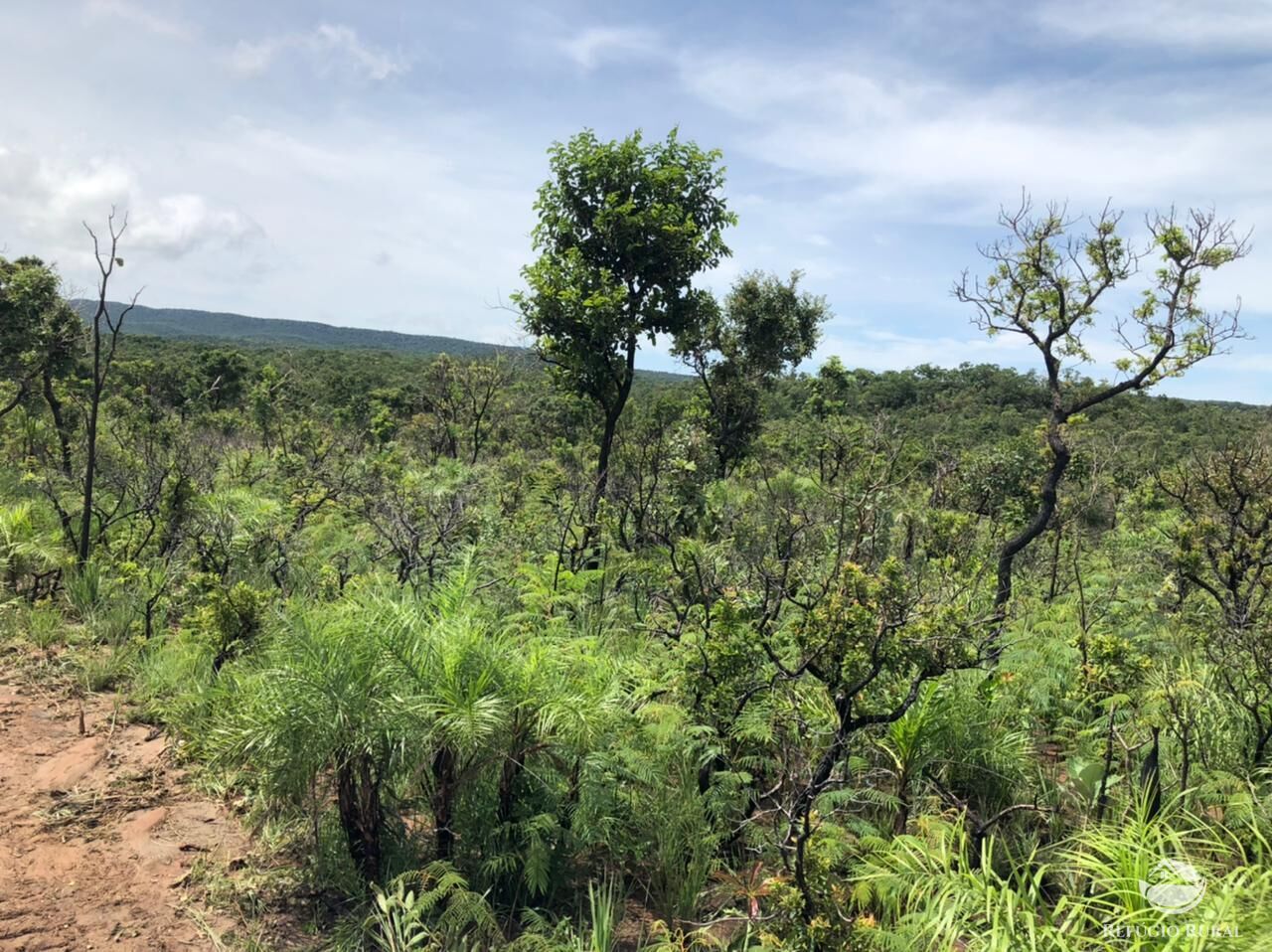 Fazenda, 2500 hectares - Foto 10