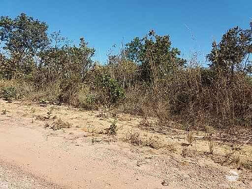 Fazenda, 2500 hectares - Foto 6