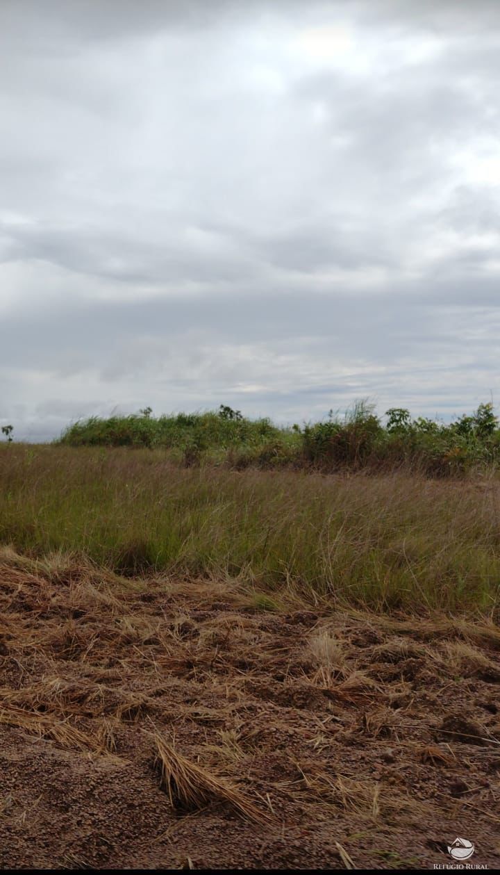 Fazenda, 2500 hectares - Foto 5