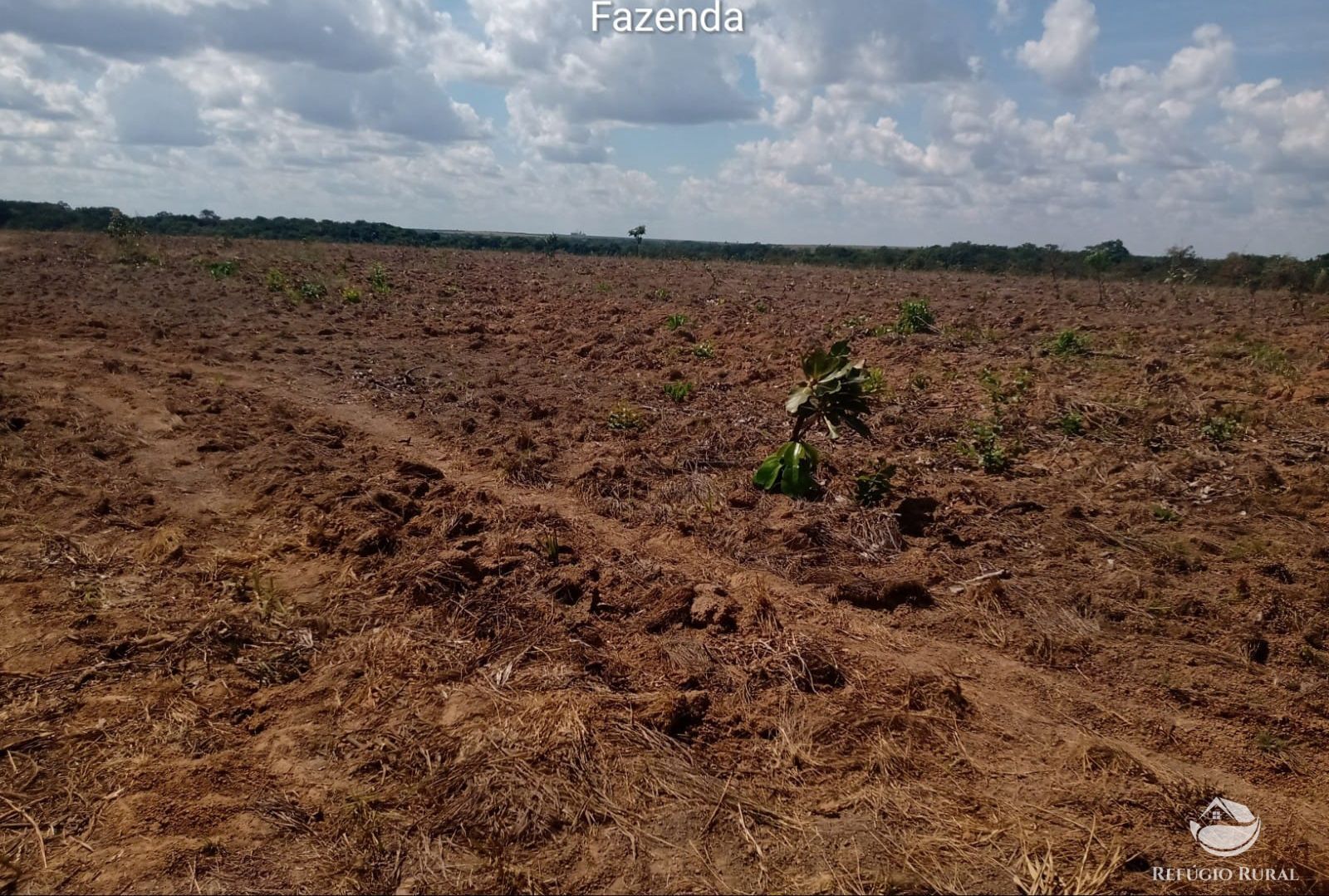 Fazenda, 2500 hectares - Foto 7