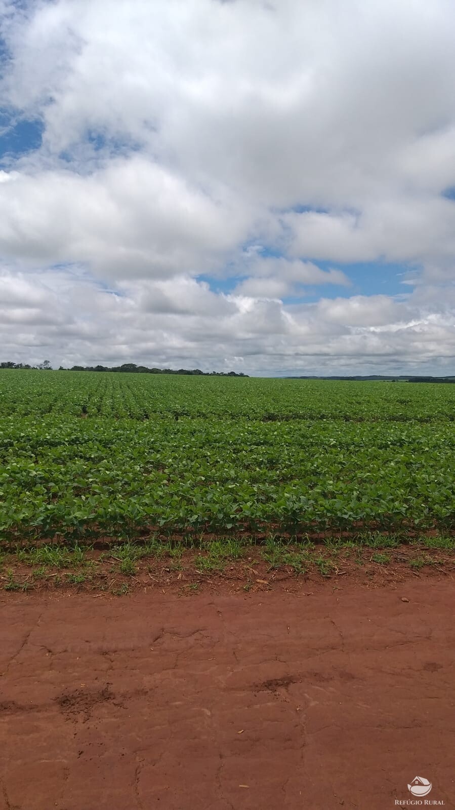 Fazenda à venda com 2 quartos, 19716400m² - Foto 8