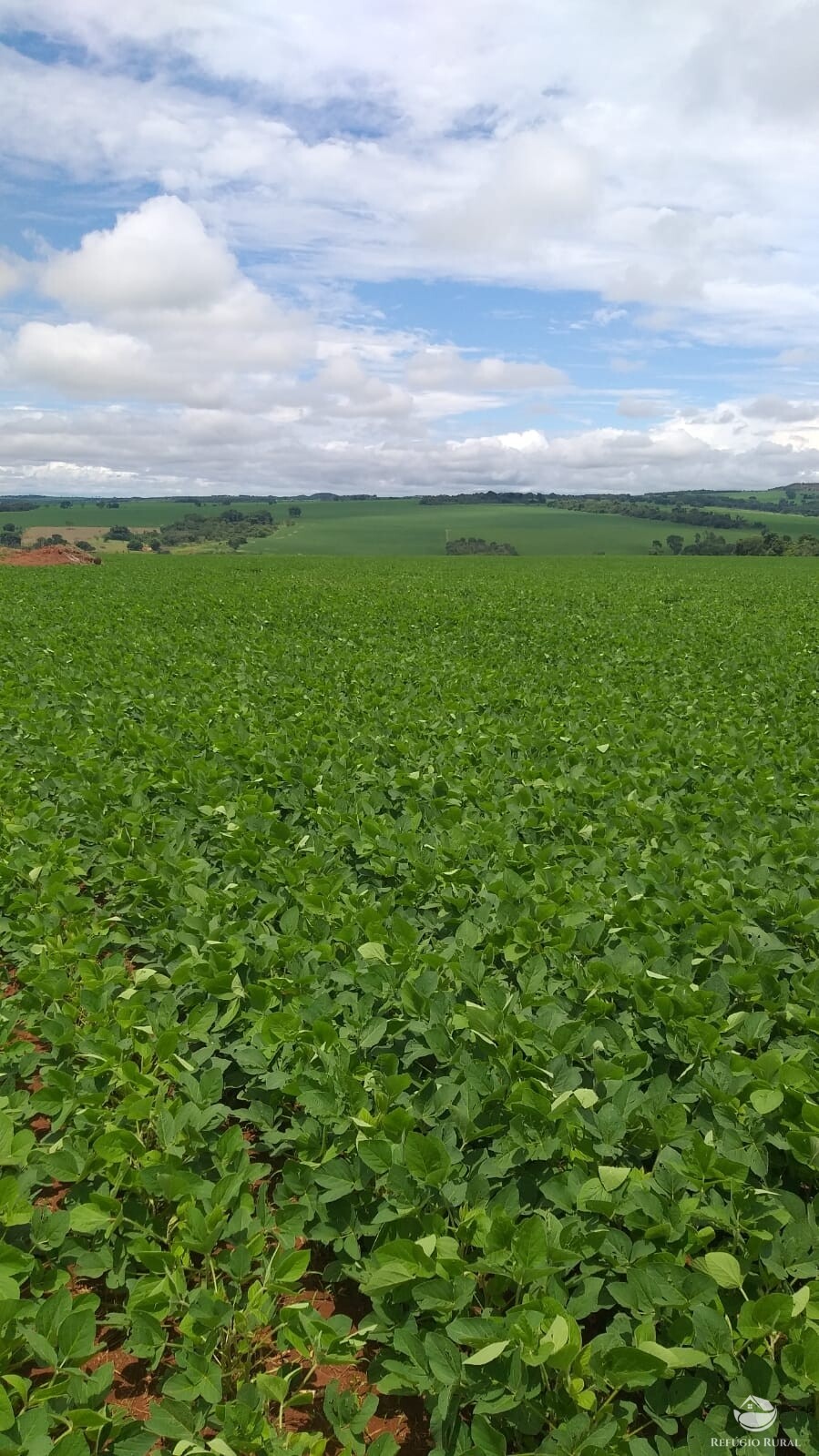 Fazenda à venda com 2 quartos, 19716400m² - Foto 4