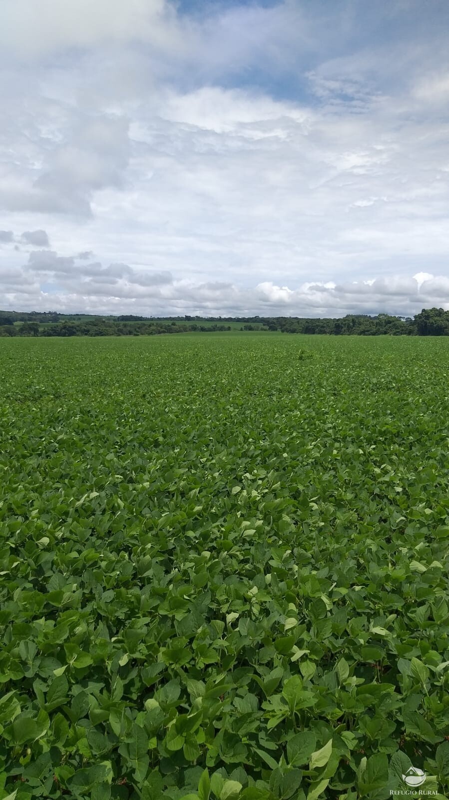 Fazenda à venda com 2 quartos, 19716400m² - Foto 6