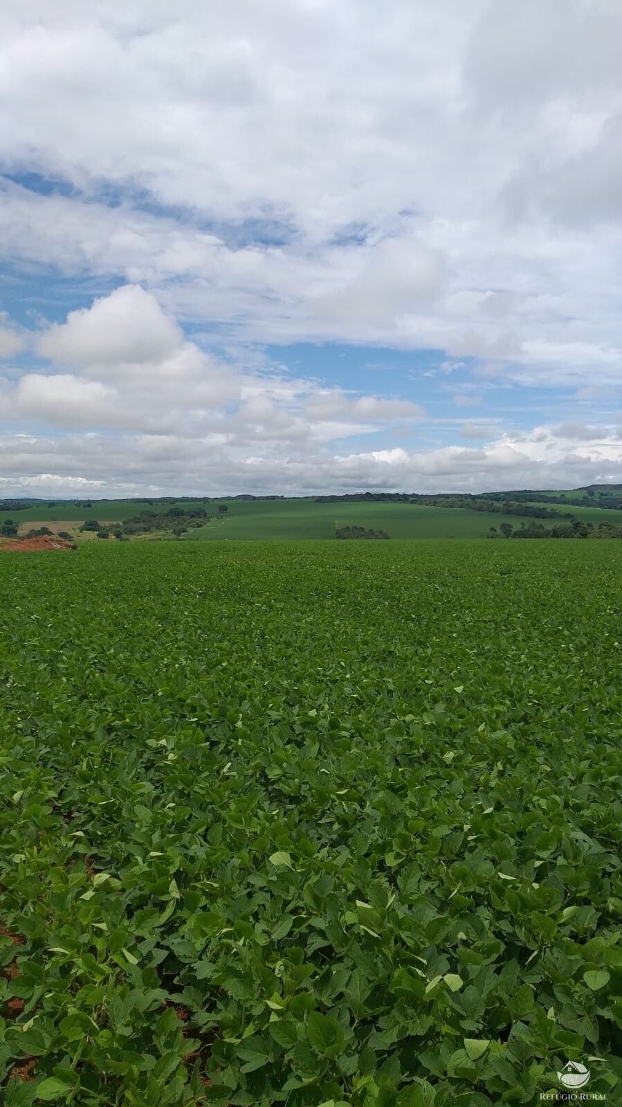 Fazenda à venda com 2 quartos, 19716400m² - Foto 7