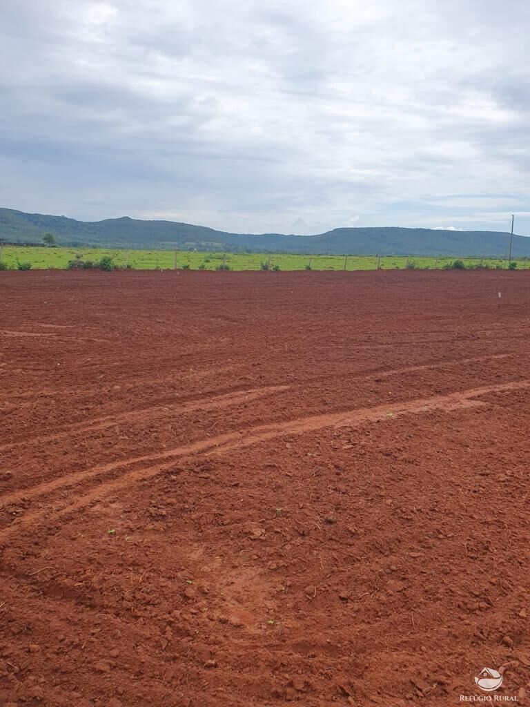 Fazenda à venda com 1 quarto, 12140000m² - Foto 10