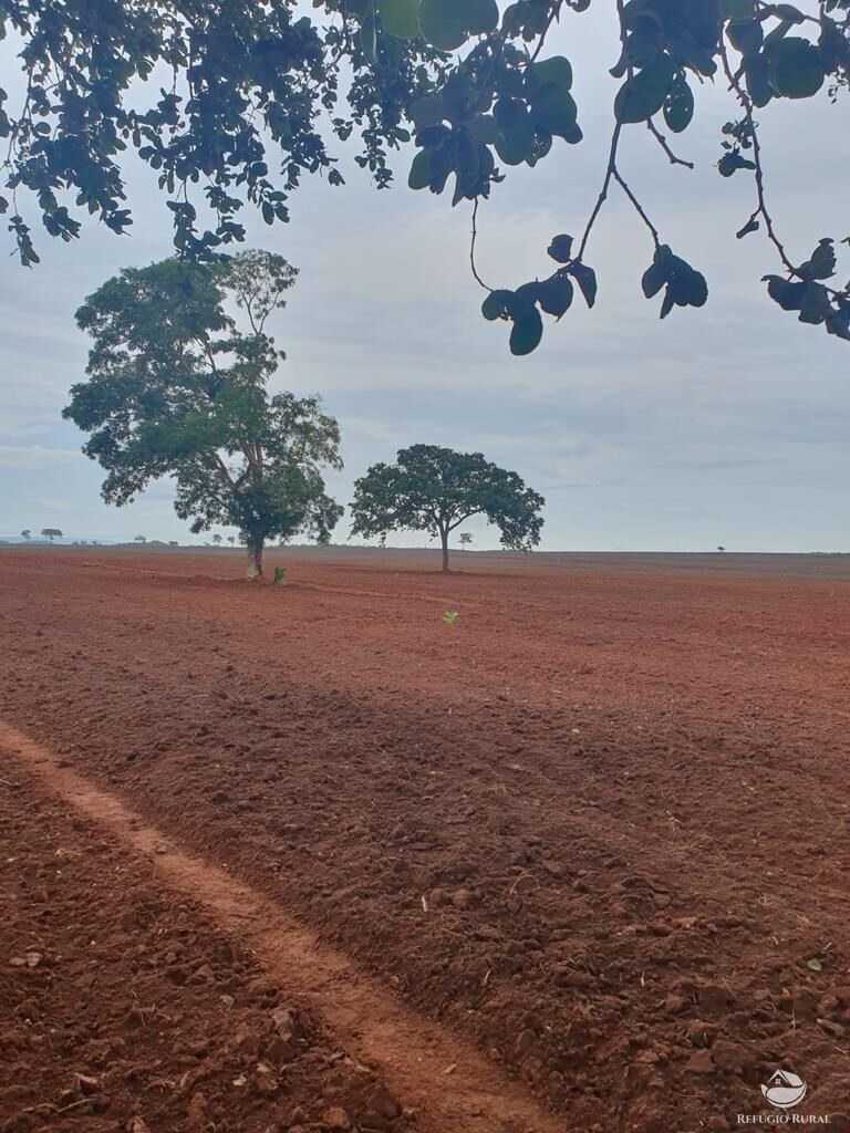 Fazenda à venda com 1 quarto, 12140000m² - Foto 1