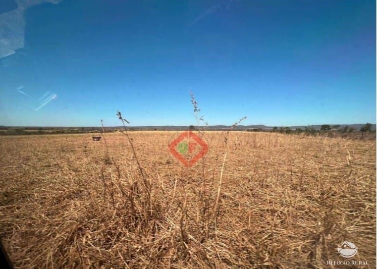 Fazenda à venda com 1 quarto, 12140000m² - Foto 6