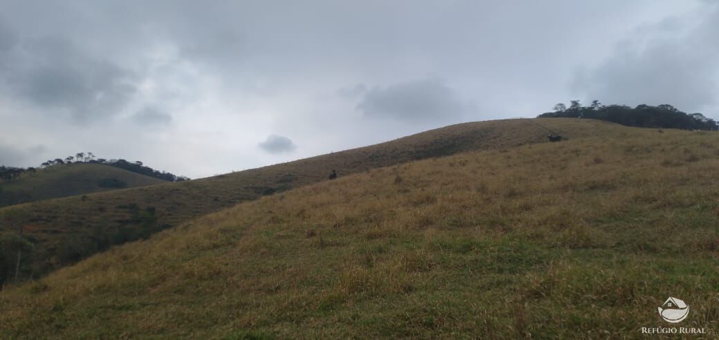 Terreno à venda, 133100m² - Foto 4