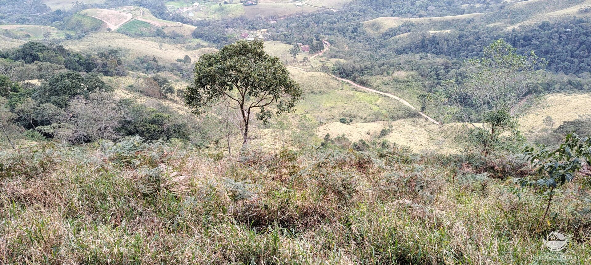 Terreno à venda, 133100m² - Foto 20