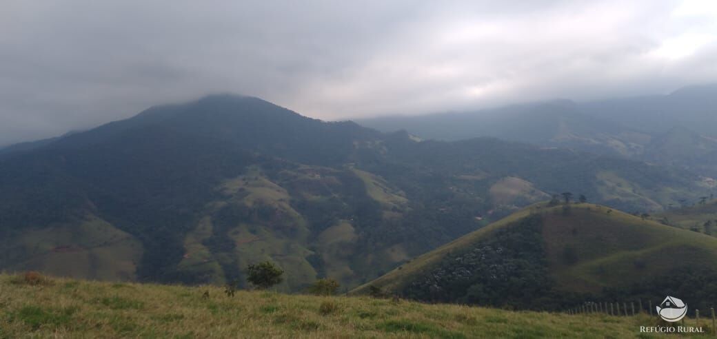 Terreno à venda, 133100m² - Foto 13